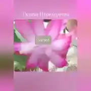 Постер книги Запах