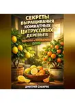 Дмитрий Сибиряк - Секреты выращивания комнатных цитрусовых деревьев лимоны и мандарины дома