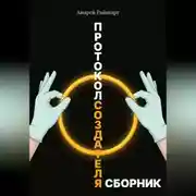 Постер книги Протокол создателя
