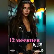 Постер книги 12 месяцев БДСМ