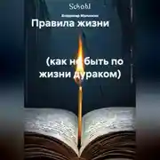 Постер книги Правила жизни                                                                                                 (как не быть по жизни дураком)