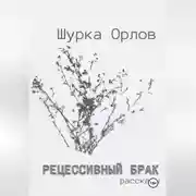Постер книги Рецессивный брак