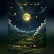 Постер книги Сказки на ночь