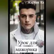 Постер книги Урок для мажорика