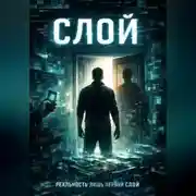 Постер книги Слой