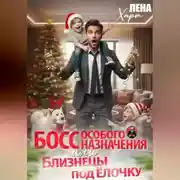 Постер книги Босс особого назначения, или Близнецы под ёлочку