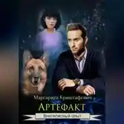 Постер книги Артефакт