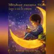 Постер книги Звёздная ракета Тёмы: сказки на ночь для почемучек