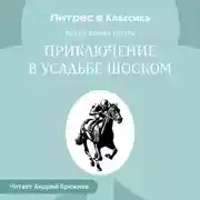 Постер книги Приключение в усадьбе Шоском
