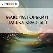 Постер книги Васька Красный
