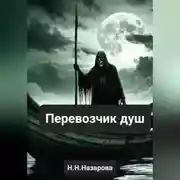 Постер книги Перевозчик душ