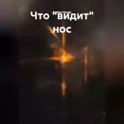 Постер книги Что "видит" нос.