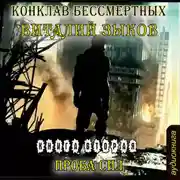 Постер книги Конклав Бессмертных. Проба сил