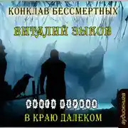 Постер книги Конклав Бессмертных. В краю далеком