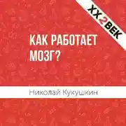 Постер книги Как работает мозг?