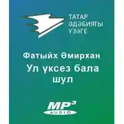 Постер книги Ул үксез бала шул