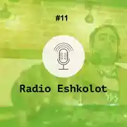 Постер книги Фортуна рекордз / Fortuna Records