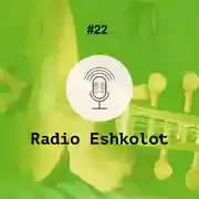 Постер книги Арабская музыка, еврейский Бог / Arab Music Jewish God