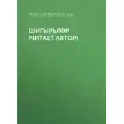 Постер книги Шигырьләр (читает автор)