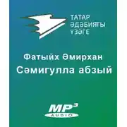 Постер книги Сәмигулла абзый