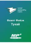 Әхмәт Фәйзи - Тукай