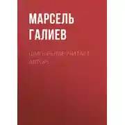 Постер книги Шигырьләр (читает автор)