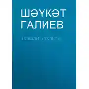Постер книги Шәвәли шуклыгы
