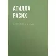 Постер книги Хәвефле сынау