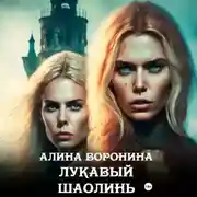 Постер книги Лукавый Шаолинь