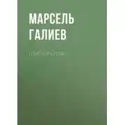 Постер книги Шигырьләр
