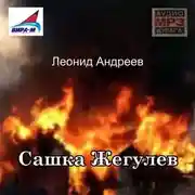 Постер книги Сашка Жегулев