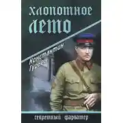 Постер книги Хлопотное лето