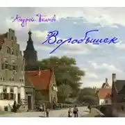 Постер книги Воробышек