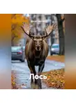 Ильгиз Гиматов - Лось