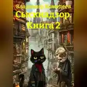 Постер книги Сыскнадзор. Книга 2