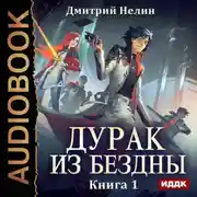 Постер книги Дурак из Бездны. Книга 1