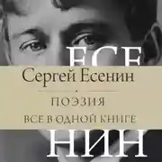Постер книги Поэзия. Все в одной книге