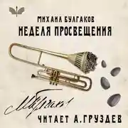 Постер книги Неделя просвещения