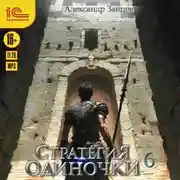 Постер книги Стратегия одиночки. Книга 6