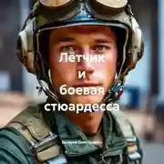 Постер книги Лётчик и боевая стюардесса