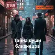 Постер книги Тайна души близнецов