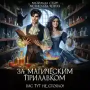 Постер книги За магическим прилавком. Вас тут не стояло!