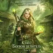 Постер книги Класс: Боевой Целитель. Том 5