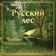 Постер книги Русский лес. Рассказы русских писателей