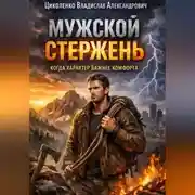 Постер книги Мужской стержень, когда характер важнее комфорта!