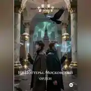 Постер книги НЕ ПОТТЕРЫ Московский орден