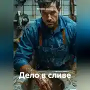 Постер книги Дело в сливе