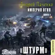 Постер книги Штурм