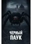 Светлана Зотова - Чёрный паук