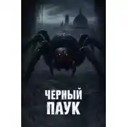 Постер книги Чёрный паук